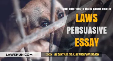 Unveiling Animal Cruelty Laws: Key Questions for a Persuasive Essay