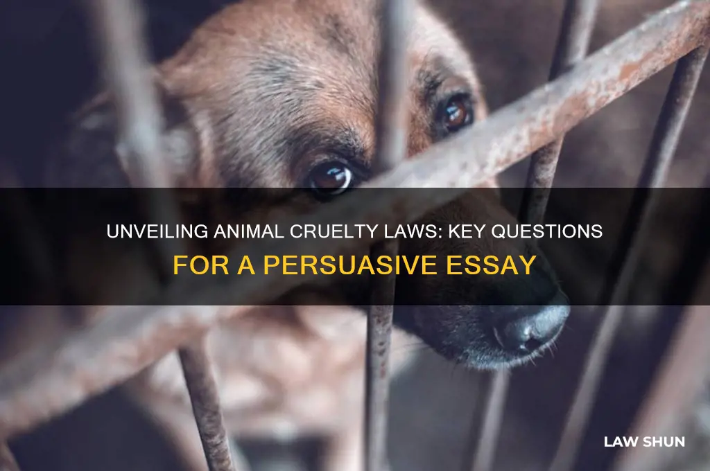 what questions to ask on animal cruelty laws persuasive essay