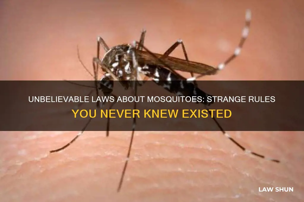 what r crazy laws regarding mose