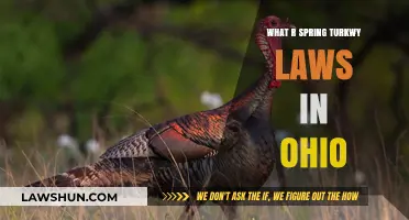 Ohio Spring Turkey Hunting Laws: Regulations and Guidelines Explained