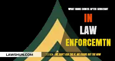 Beyond Sergeant: Exploring the Next Rank in Law Enforcement Hierarchy