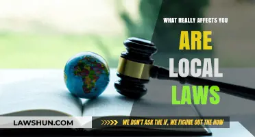 Local Laws' Impact: How They Shape Your Daily Life and Rights