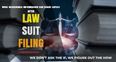 Lawsuit Filing: What Information Can You Expect?