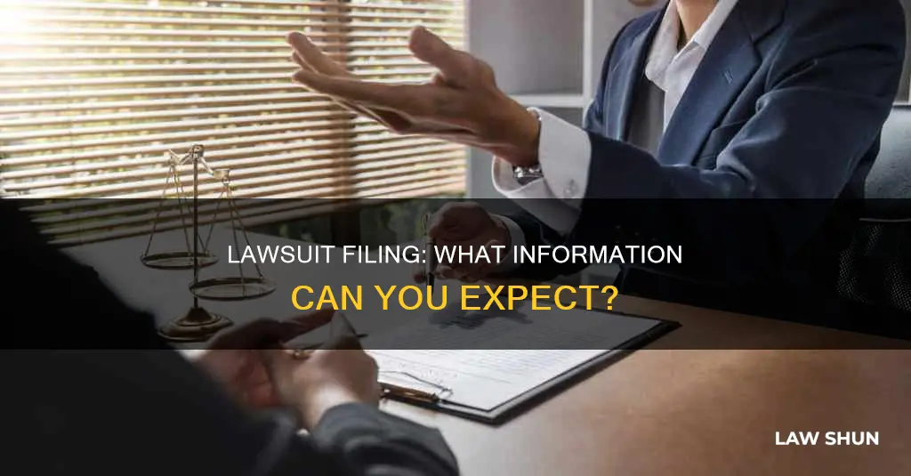 what reasonable information can client expect after law suit filing
