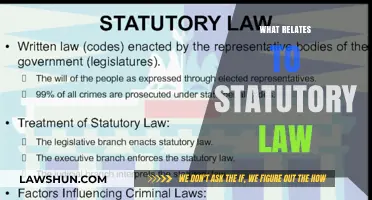 Understanding Statutory Law: Key Concepts and Real-World Applications Explained