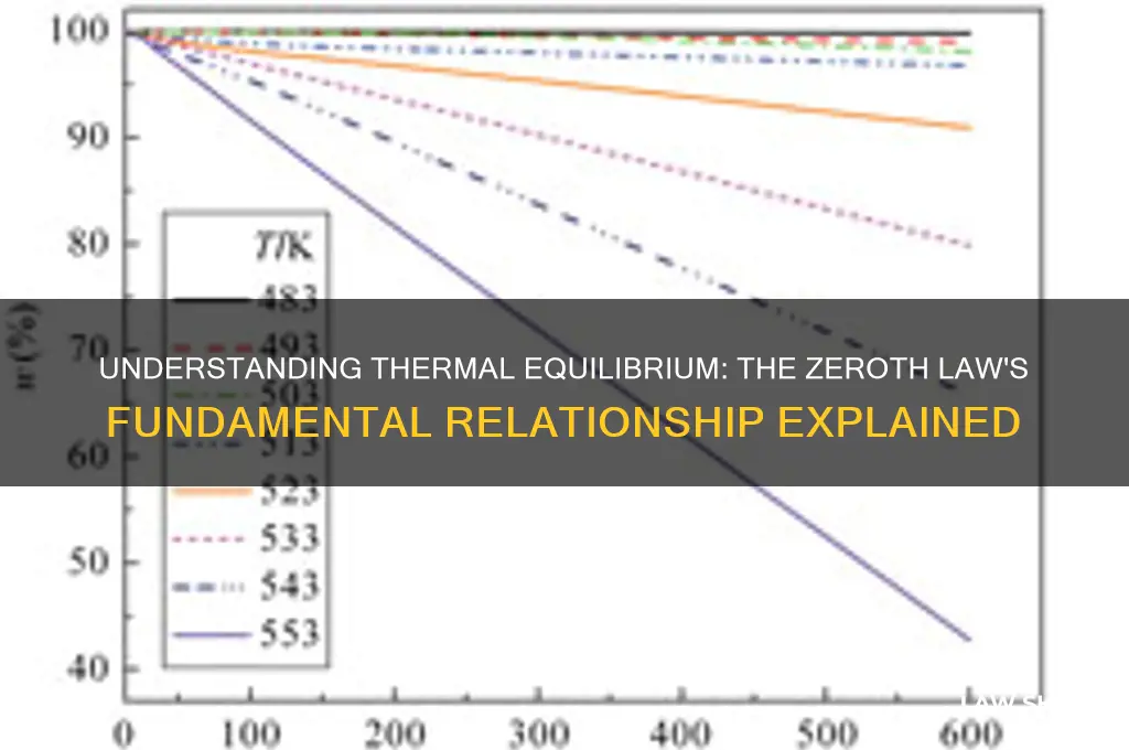 what relationship is discussed in the zeroth law of thermodynamics