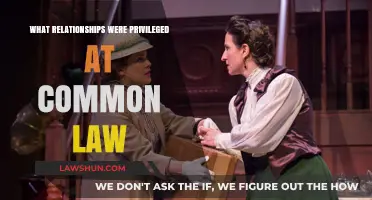 Common Law Privileges: Relationships That Matter