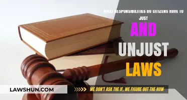 Citizens' Duties: Navigating Responsibilities to Just and Unjust Laws