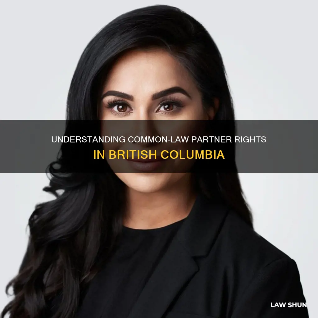 what rights do common law partners have in bc