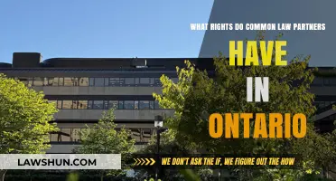 Understanding Common Law Partners' Rights in Ontario