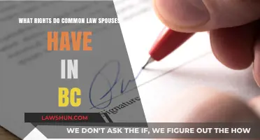 Understanding Common Law Spousal Rights in BC