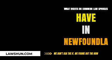 Common-Law Rights in Newfoundland: What Are Your Entitlements?