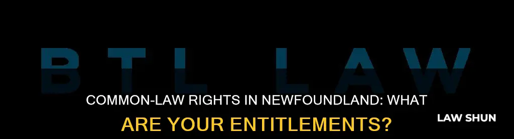 what rights do common law spouses have in newfoundland