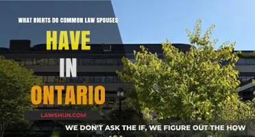Understanding Common Law Spouse Rights in Ontario