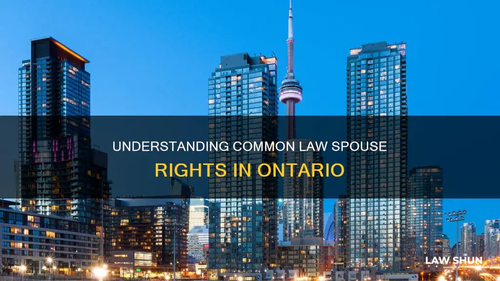 what rights do common law spouses have in ontario