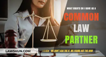 Understanding Your Rights as a Common-Law Partner