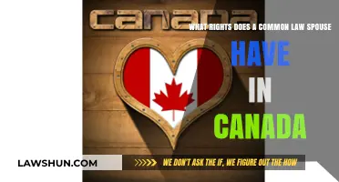 Common-Law Rights in Canada: Understanding Your Entitlements