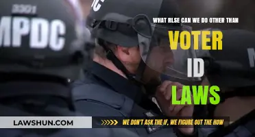 Exploring Alternatives to Voter ID Laws