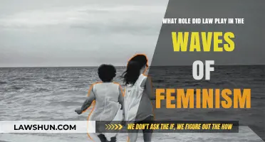 Law's Impact on Feminism: Shaping Waves of Gender Equality