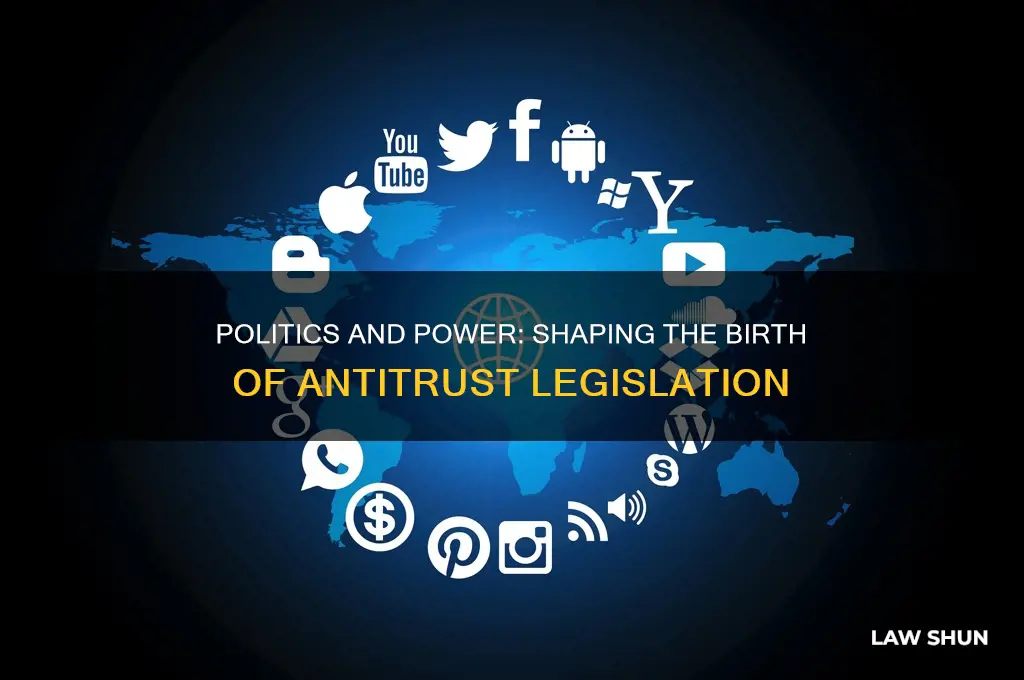what role did politics play in anti trust law formation