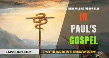 Paul's Gospel and the Law: A Transformative Role in Faith
