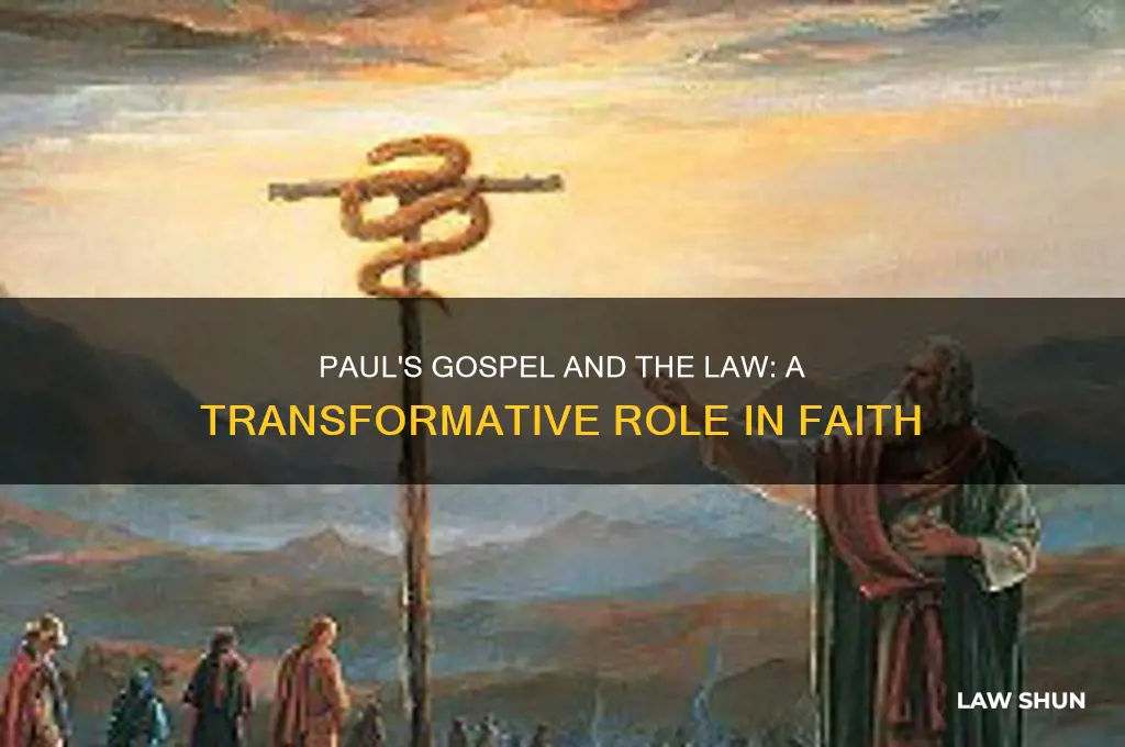what role did the law play in paul