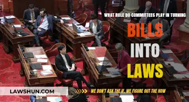 How Committees Shape Legislation: The Journey from Bills to Laws