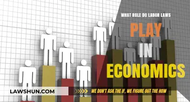 Labor Laws: Shaping Economic Growth, Fairness, and Market Stability