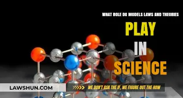 Models, Laws, and Theories: The Framework of Scientific Understanding