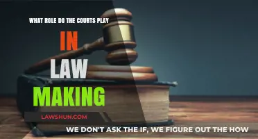The Courts' Crucial Role in Shaping and Interpreting Law