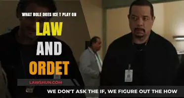 Ice-T's Impact: Detective Fin Tutuola's Role in Law & Order: SVU
