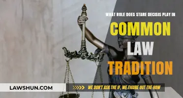 Stare Decisis: The Backbone of Common Law