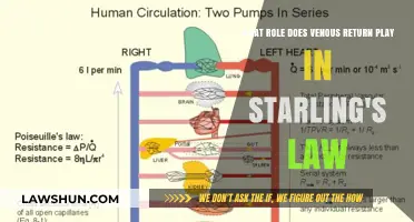Venous Return's Impact on Starling's Law: Understanding Cardiac Output Dynamics