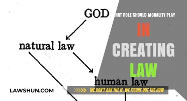 Morality's Role in Lawmaking: A Complex Relationship