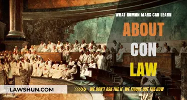 Mars on Con Law: A Beginner's Guide