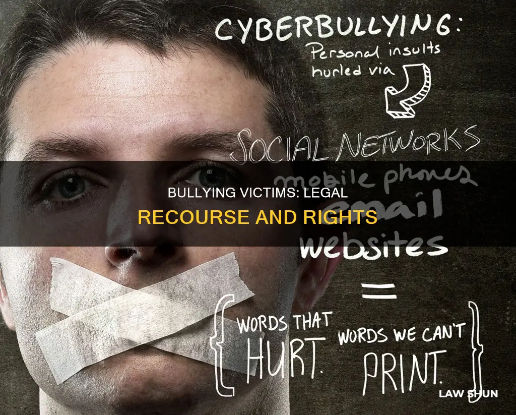 what rype of law does bullying break