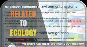 Thermodynamics Meets Ecology: Understanding the Second Law's Impact