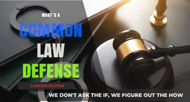 Understanding Common Law Defenses: Strategies and Applications
