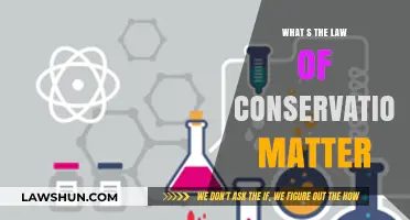 Understanding the Law of Conservation of Matter: Principles and Applications