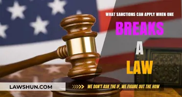 Legal Consequences: Understanding Sanctions for Breaking the Law