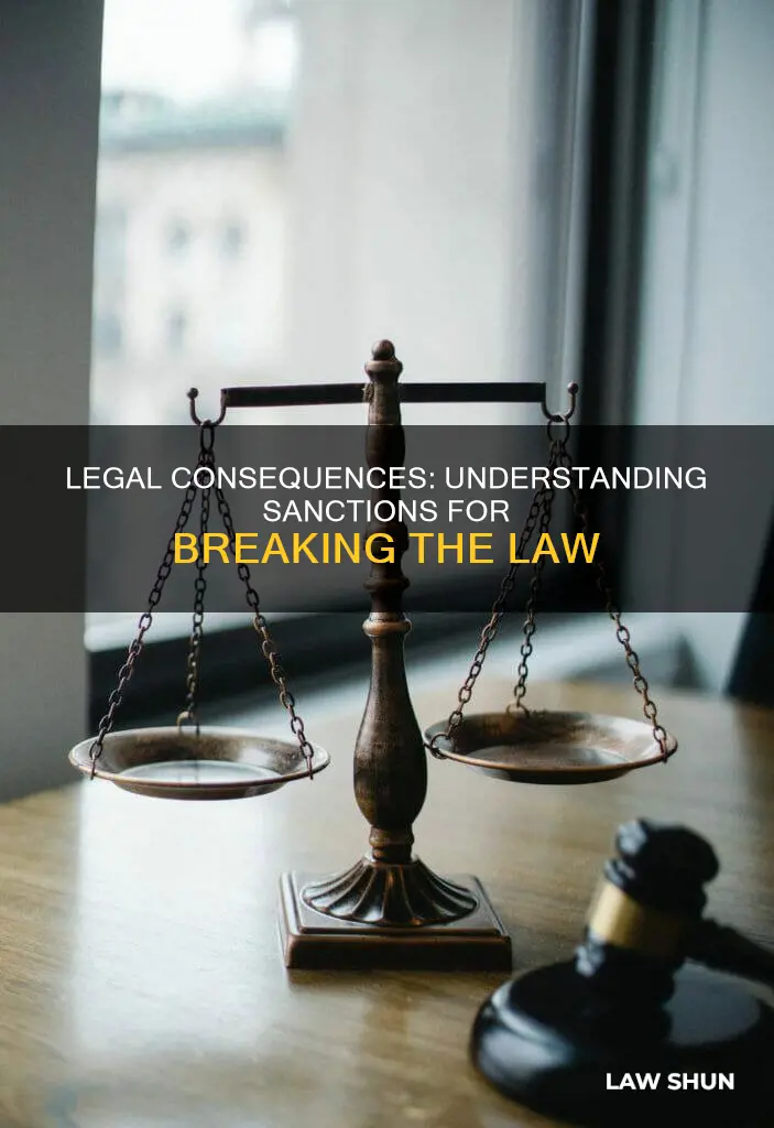 what sanctions can apply when one breaks a law