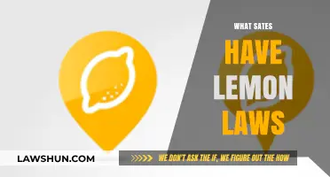 Lemon Laws Explained: Which States Protect Your Vehicle Purchase?