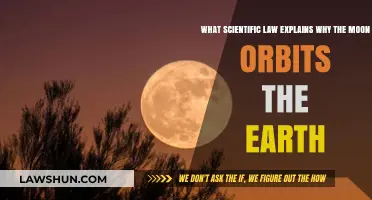 The Science Behind the Moon's Orbit: Newton's Law Explained