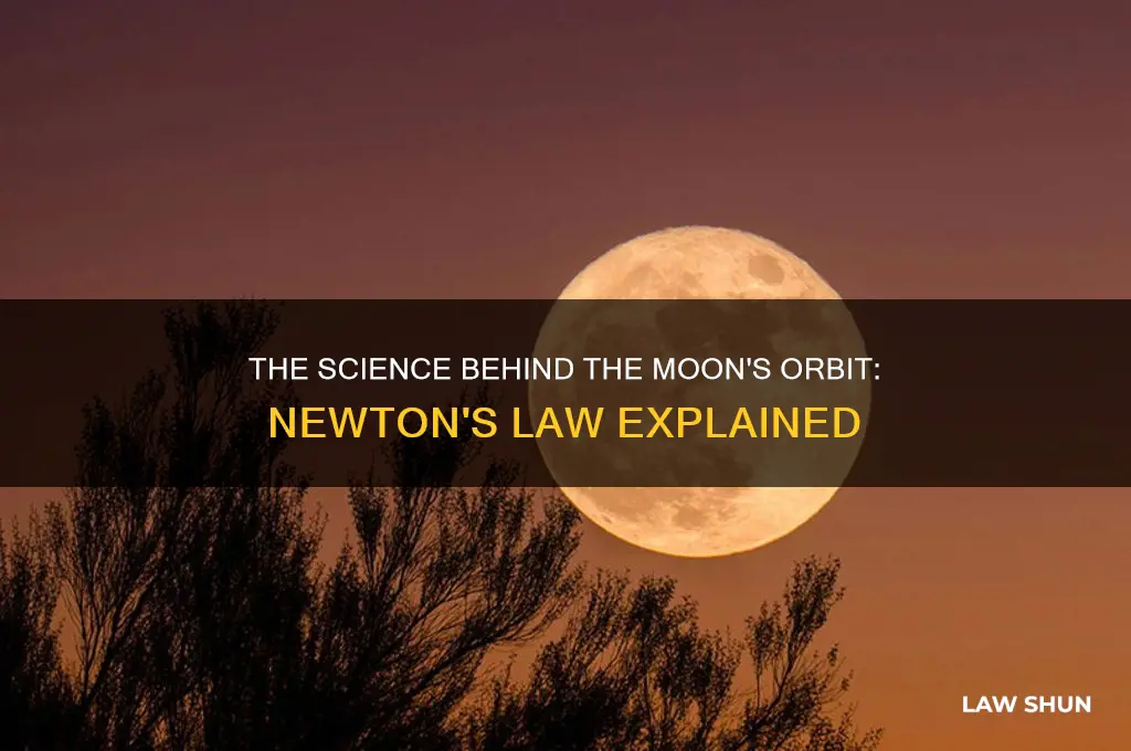 what scientific law explains why the moon orbits the earth