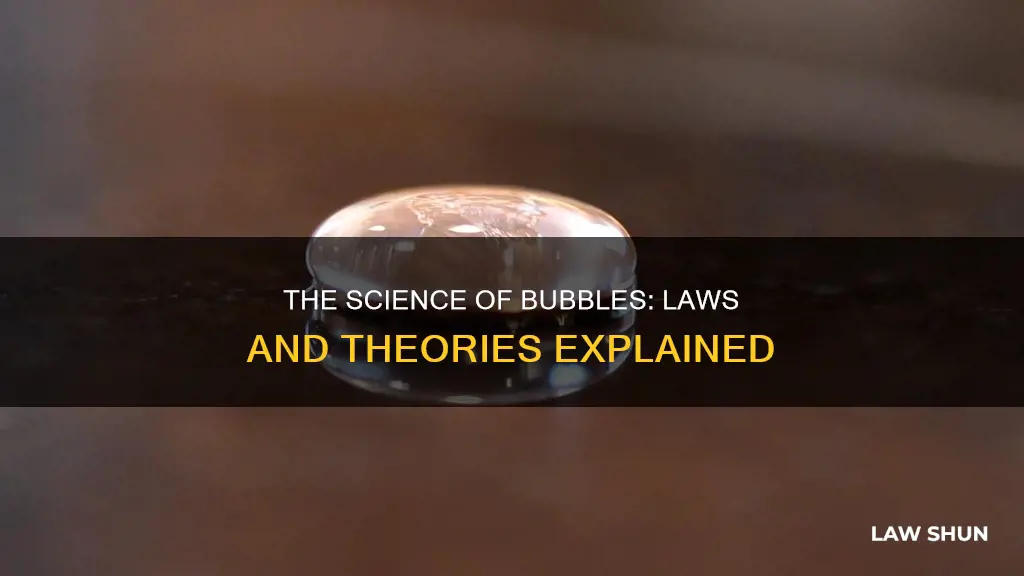 what scientific law or theory applies to bubbles