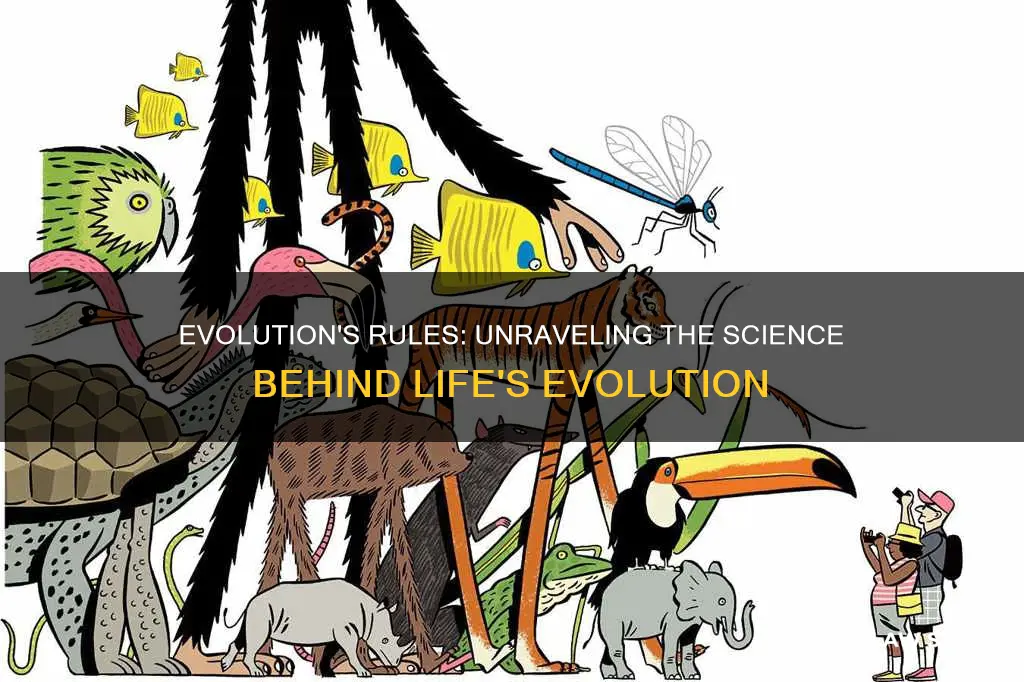 what scientific laws does evolution break