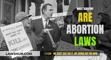 Abortion Laws: Scrutinizing the Scrutiny of Women's Rights