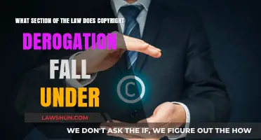 Understanding Copyright Derogation: Legal Framework and Applicable Law Section