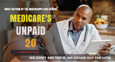 Mississippi Law Section Governing Medicare's Unpaid 20% Coverage Explained