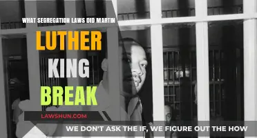 Martin Luther King's Fight Against Segregation: A Historical Perspective